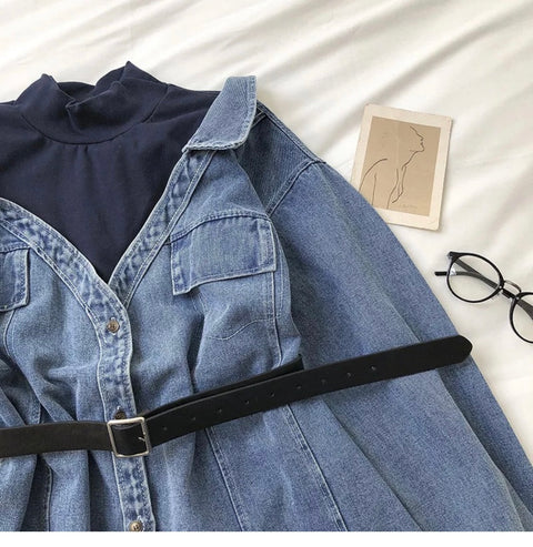 Nadia Shirt Dress