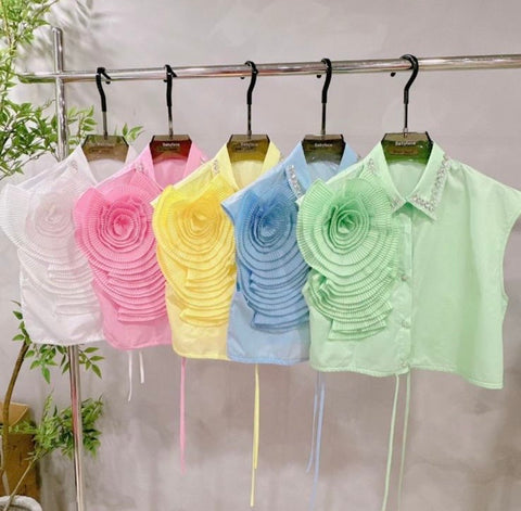 Rose Embellish Crop Shirt