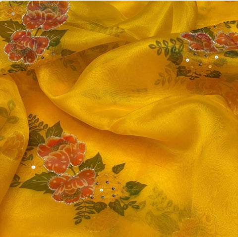 Pure Organza Handwork Sarees