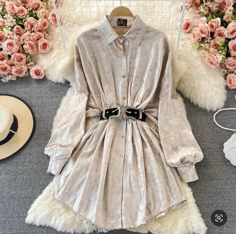 Mettalic Shirt Dress