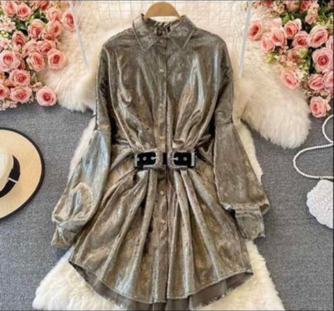 Mettalic Shirt Dress