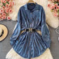 Mettalic Shirt Dress