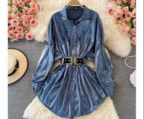 Mettalic Shirt Dress