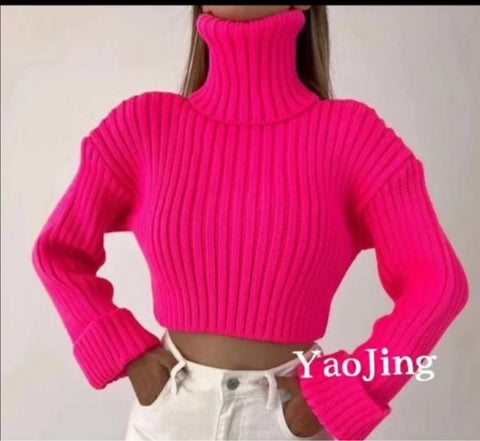 Ilya Crop Sweater