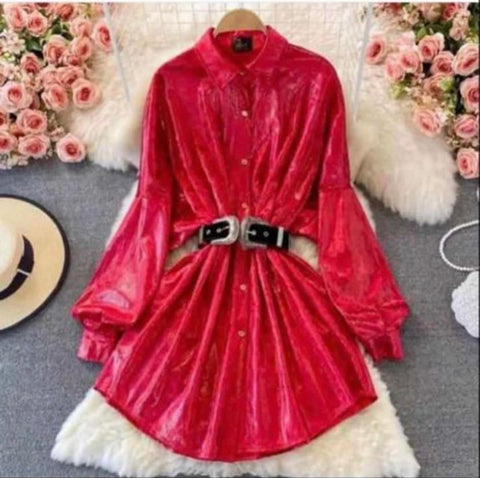 Mettalic Shirt Dress