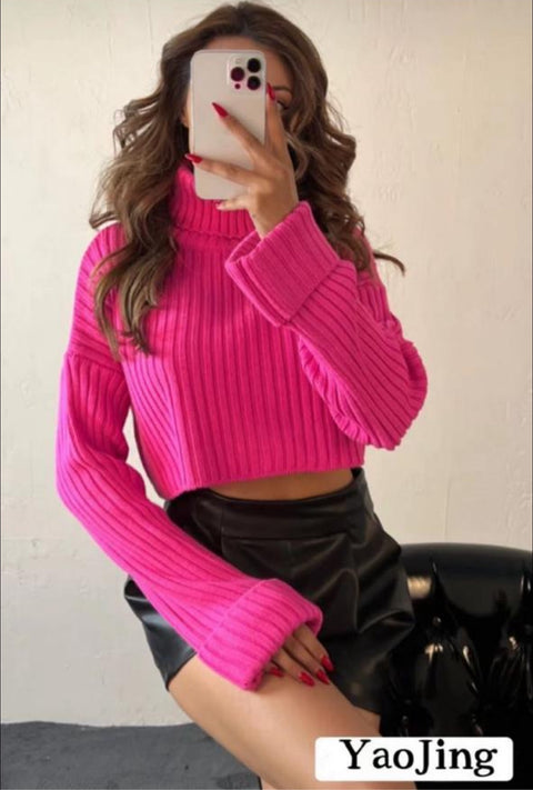 Ilya Crop Sweater